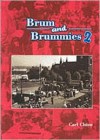 Brum and Brummies: v. 2 - Carl Chinn