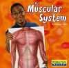 The Muscular System - Rebecca Olien