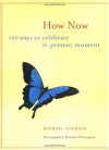 How Now: 100 Ways to Celebrate the Present Moment - Raphael Cushnir, Howard Cushnir, Pornchai Mittongtare