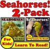 Seahorses! 2-Pack of Seahorse eBooks - Seahorse Photos And Facts Make It Fun! (Over 95+ Pictures of Different Seahorses) - Cyndy Adamsen, Monica Molina