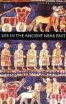 Life in the Ancient Near East, 3100-332 B.C.E. - Daniel C. Snell