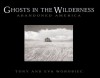 Ghosts in the Wilderness: Abandoned America - Tony Worobiec