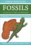 Formac Pocketguide to Fossils: Fossils, Rocks & Minerals in Nova Scotia, New Brunswick and Prince Edward Island - Jeffrey C. Domm