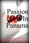 Passion in Panama - Torri D. Cooke, K.C. Falls