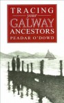 A Guide to Tracing your Galway Ancestors - Peadar O'Dowd, Eoin Ryan