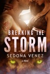 Breaking the Storm (Credence Curse) - One Wish Publishing