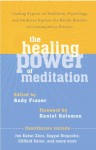 The Healing Power of Meditation: Leading Experts on Buddhism, Psychology, and Medicine Explore the Health Benefits of Contemplative Practice - Andrew Fraser