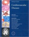 Cerebrovascular Diseases - Hannu Kalimo, Sukri Nag, Harry V. Vinters, Minoru Tomita, Karl H. Plate