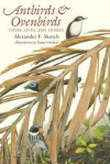 Antbirds and Ovenbirds: Their Lives and Homes - Alexander F. Skutch