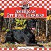 American Pit Bull Terriers - Joanne Mattern