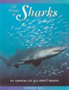 A Frenzy of Sharks: The Surprising Life of a Perfect Predator - Howard Hall, Vicki León