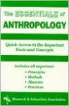 Essentials of Anthropology (Essentials) - Michael V. Angrosino