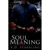 Soul Meaning - A.D. Starrling