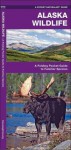 Alaska Wildlife: A Folding Pocket Guide to Familiar Species - James Kavanagh