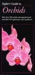 Taylor's Guide to Orchids: More Than 300 Orchids, Photographed and Described, for Beginning to Expert Gardeners - Judy White