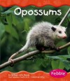 Opossums - William John Ripple