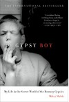 Gypsy Boy: My Life in the Secret World of the Romany Gypsies - Mikey Walsh