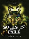 Souls in Exile (The Return of Ravana) - David Hair