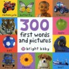 300 First Words and Pictures - Roger Priddy