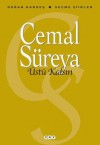 Üstü Kalsın - Cemal Süreya, Doğan Hızlan