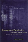 Remnants of Auschwitz: The Witness and the Archive - Giorgio Agamben, Daniel Heller-Roazen
