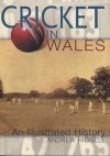 Cricket in Wales: An Illustrated History - Andrew Hignell, Andrew Hignell