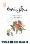 در جنگلِ ستاره‌ها: گزیده‌ی تانکا و هایکو از کلاسیک تا مدرن - ابوالقاسم اسماعیل‌پور