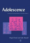 Assessing and Promoting Resilience in Vulnerable Children: A Handbook on Social Work and Student Counselling - Brigid Daniel