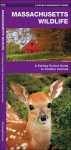 Massachusetts Wildlife: A Folding Pocket Guide to Familiar Species - James Kavanagh, Raymond Leung