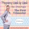 Pregnancy Books For First Time Moms: The First Trimester Book - Babette Lansing