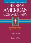 Hebrews: 35 (New American Commentary) - David L. Allen