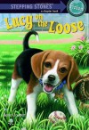 Absolutely Lucy #2: Lucy on the Loose - Ilene Cooper, Amanda Harvey