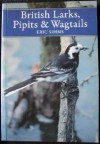 British Larks, Pipits And Wagtails - Eric Simms, Norman Arlott