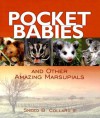 Pocket Babies: And Other Amazing Marsupials - Sneed B. Collard III