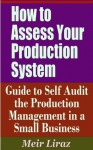 How to Assess Your Production System Guide to Self Audit the Production Management in a Small Business - Meir Liraz