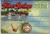 Silver Springs - Florida's International Attraction (1940's Souvenir Florida Postcard Folder) #D-8487 - Henry Flagler