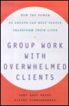 Group Work with Overwhelmed Clients: How the Power of Groups Can Help People Transform Their Lives - June Gary Hopps, Elaine Pinderhughes