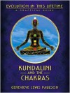 Kundalini & the Chakras: Evolution in this Lifetime