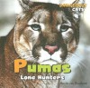 Pumas: Lone Hunters - Amelie Von Zumbusch