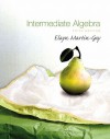 Intermediate Algebra Value Package (Includes Mymathlab for Webct Student Access Kit) - Elayn Martin-Gay