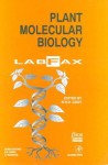 Plant Molecular Biology Labfax - R. R.D Croy, B. David Hames, D. Rickwood