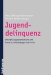 Jugenddelinquenz: Entwicklungspsychiatrische Und Forensische Grundlagen Und Praxis - Cornelia Bessler, Hans-Christoph Steinhausen