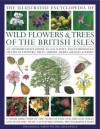 The Illustrated Encyclopedia of Wild Flowers & Trees of the British Isles: An Authoritative Guide to 650 Native and Introduced Species of Flowers, Trees, Shrubs, Herbs, Grasses & Weeds - Martin Walters, Mick Lavelle, Tony Russell