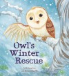 Winter with Owl - Anita Loughrey, Daniel Howarth