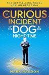 The Curious Incident of the Dog in the Night-Time: (Broadway Tie-in Edition) (Vintage Contemporaries) - Mark Haddon