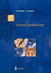 Virtual Endoscopy - David Khayat