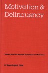 Nebraska Symposium on Motivation, 1996, Volume 44: Motivation and Delinquency - Nebraska Symposium, D. Wayne Osgood, Nebraska Symposium