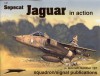 Sepecat Jaguar In Action Aircraft No. 197 - Glenn Ashley