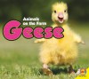 Goose - Aaron Carr