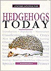 Hedgehogs Today - Dennis Kelsey-Wood